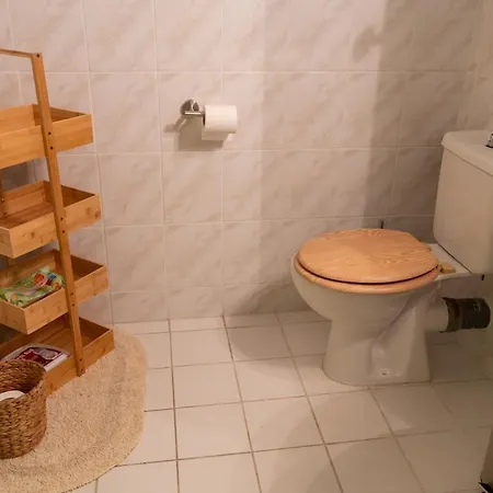 Alemar Collective Lime By The Sea *